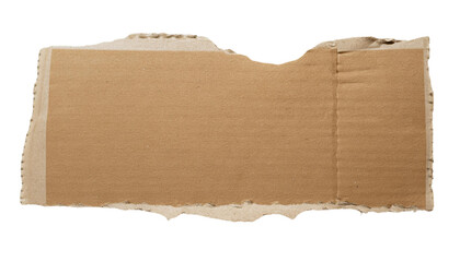 Torn Ripped Cardboard isolated on transparent background