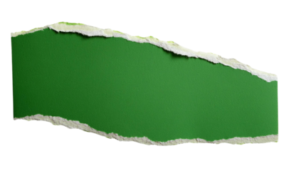 Torn Green Paper isolated on transparent background