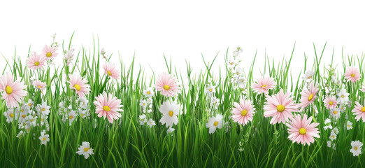 PNG Spring grass with spring flowers illustration background daisies.