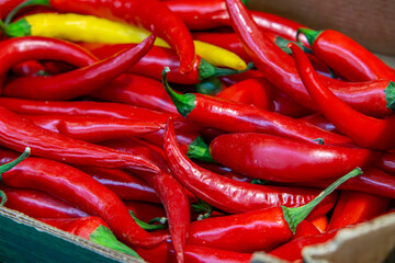 spicy red yellow chili peppers in a carton on a shelf in a store. Vegetable sales.