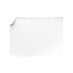 Torn Paper, White Texture on Transparent  Background