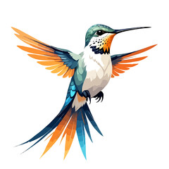 Obraz premium Hummingbird Vector Art with Vibrant Colour Illustration