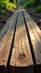 Fototapeta premium Weathered wooden planks on a tree stump or log , textured, forest