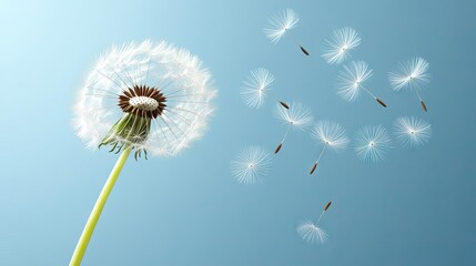 Dandelion seeds floating gently in the air on a clear blue background in a tranquil outdoor setting during the warm afternoon