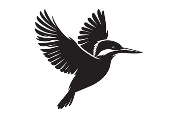 kingfisher silhouette with white background