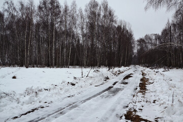 Snowy road in a birch forest. Cold and quiet, no one around