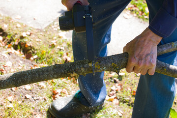 Cordless knot cutter, a tool for seasonal pruning of trees. The man saws off the knots