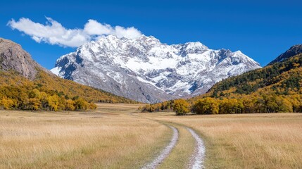 Mountain valley with autumnal foliage and pathway