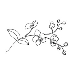 Elegant SingleLine Orchid Drawing Botanical Art, Minimalist Floral Design