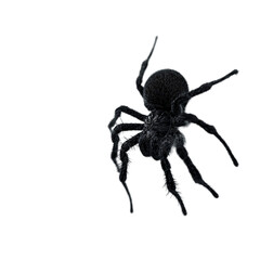 Fototapeta premium Black Tarantula Spider Glitch Art Dark Creature Digital Art