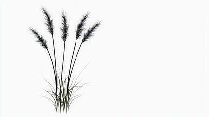 Fototapeta premium Elegant Silhouette of Grasses Against a Minimalist White Background for Nature Themes
