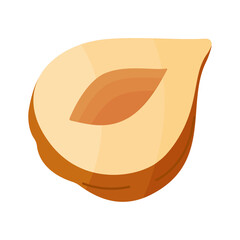 Hazelnut ripe and tasty. half a hazelnut without shell. Hand drawn trendy flat style isolated icon. Healthy treat, snacks, peeled forest nut. Vector illustration