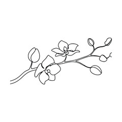 Elegant SingleLine Orchid Branch Drawing, Minimalist Floral Art