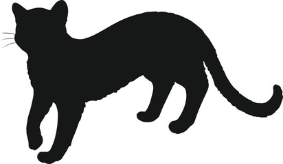 Hand drawn silhouette illustration of Jaguarundi