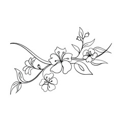 Elegant Line Art Floral Branch, Delicate Flowers, Botanical Sketch