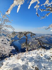 winter landscape with snow