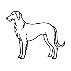 Elegant Borzoi Dog Breed, Line Art, Canine Illustration, Profile View