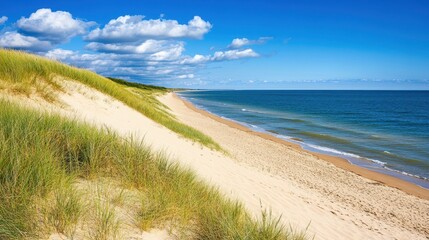 Lush green grass gently sways on a sandy beach, adjacent to the expansive ocean, creating a serene coastal landscape.