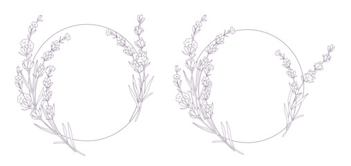 Lavender Line Drawing. Outline Lavender illustration. Hand Drawn lavener. Black and white Flowers. Monochrome Floral Line Art.  Botanical Coloring. Lavender Wedding