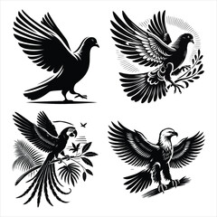  Diverse Bird Illustrations Collection