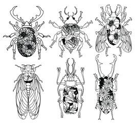 Tattoo art insects have flower patterns hand drawing and sketch black and white
