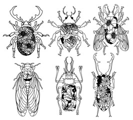 Tattoo art insects have flower patterns hand drawing and sketch black and white