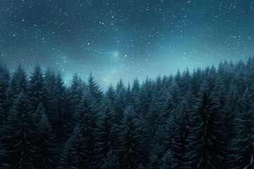 Snowfall over pine forest winter landscape night sky tranquil environment aerial view nature's beauty