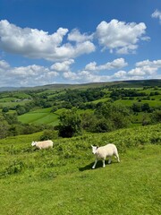 Obraz premium Views at Carreg Cennen