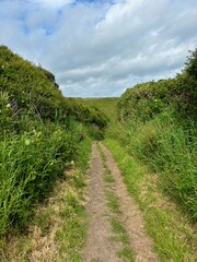 Obraz premium The Pembrokeshire Coast