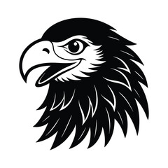 eagle head vector illustration
