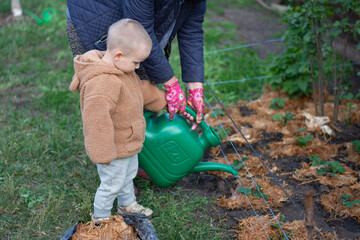 Young child helps watering plants in a garden during early afternoon hours