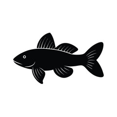 Bristlenose Pleco Silhouette Vector Art and Black Color Bristlenose Pleco Fish Illustration Design