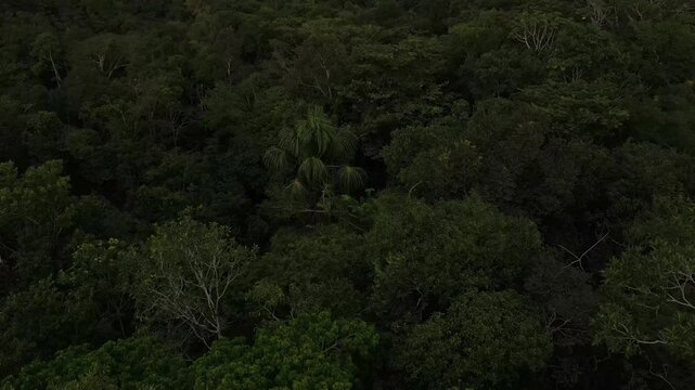 Puero Narino Sunset, Colombia