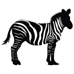 zebra silhouette vector illustration isolated