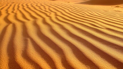 Sand dunes create a serene landscape in the desert, adorned with gentle ripples that enhance the natural beauty of the arid environment.
