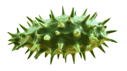 3D green bacteria cell structure with a text isolated on white background 