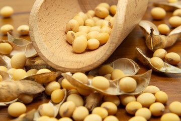 Detalhe de concha de madeira com grãos de soja sobre uma mesa de madeira com vários grãos de soja espalhados.