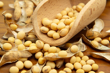 Close de uma concha de madeira cheia de grãos de soja e vários feijões espalhados sobre uma mesa de madeira.