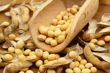 Uma mesa de madeira com uma concha de madeira, ambas cheias de soja crua.