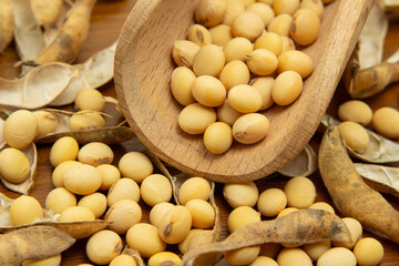 Close de uma concha de madeira cheia de grãos de soja e vários feijões espalhados sobre uma mesa de madeira.