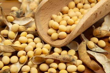 Detalhe de uma concha de madeira cheia com grãos de soja sobre a mesa com muitos grãos espalhados.