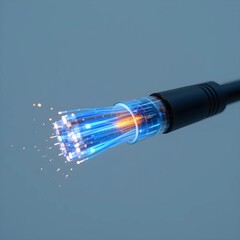 Fiber Optic Cables: Data Transfer, Technology, Network