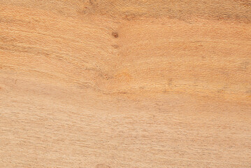 Macro background photography of white Acacia wood, wooden plank, natural board, hardwood, textured patter, blank, example