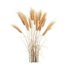 Fototapeta premium Wheat Stalks