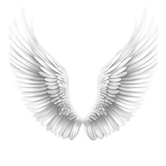 Fototapeta premium angel wings isolated On White Background