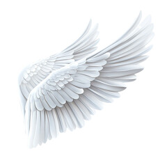 angel wings isolated On White Background