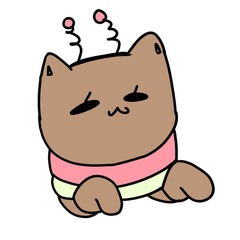 cat