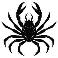 crab spider on white background