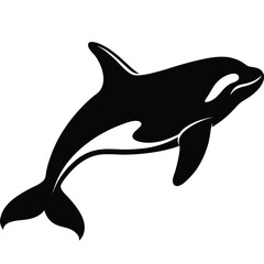 dolphin isolated on white background