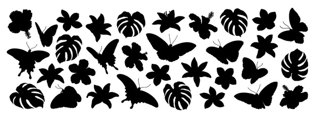 Monstera leaves, various flowers and butterflies on transparent background, black silhouette illustrations, tropical illustration collection
